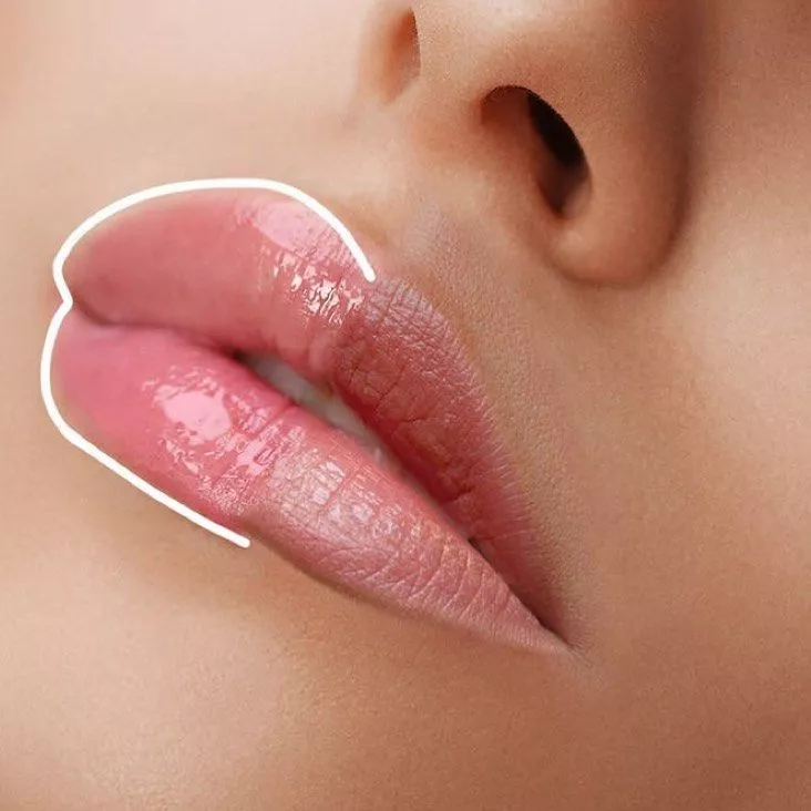 lip2